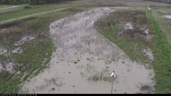 Cell 1_24-04-28_11-24-15-33