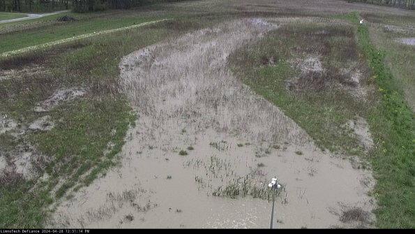 Cell 1_24-04-28_12-31-15-34