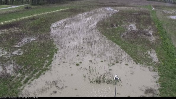 Cell 1_24-04-28_13-04-46-36