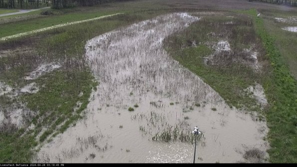 Cell 1_24-04-28_15-18-46-37