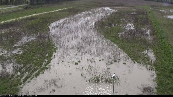 Cell 1_24-04-28_16-25-46-34