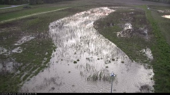 Cell 1_24-04-28_20-20-12-32