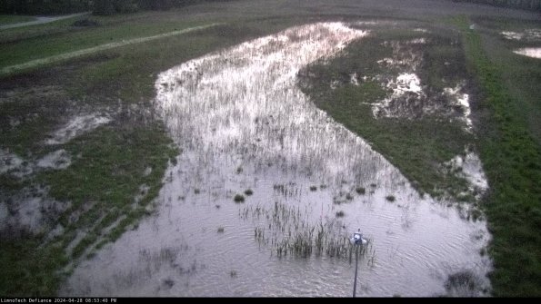 Cell 1_24-04-28_20-53-41-38