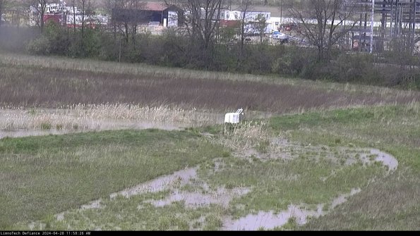 Cell 2 to 3_24-04-28_11-58-26-56