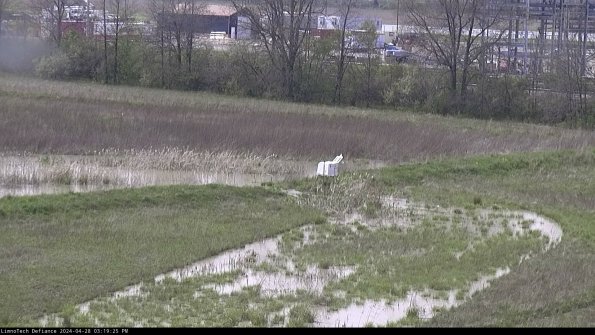 Cell 2 to 3_24-04-28_15-19-26-45