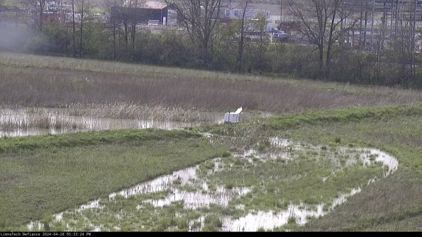 Cell 2 to 3_24-04-28_17-33-25-39