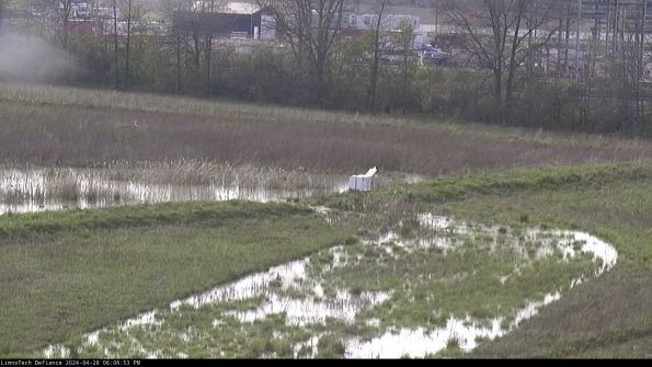 Cell 2 to 3_24-04-28_18-06-53-51