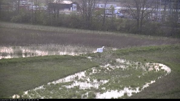 Cell 2 to 3_24-04-28_20-20-52-43