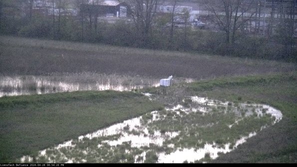 Cell 2 to 3_24-04-28_20-54-21-45