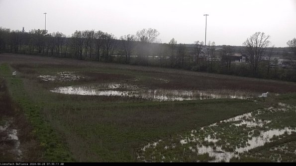 Cell 2_24-04-28_07-30-12-38