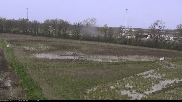 Cell 2_24-04-28_11-24-42-35