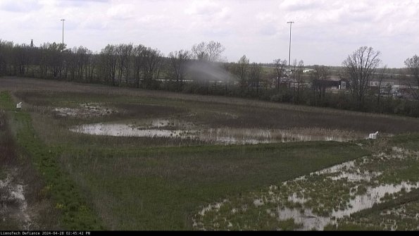 Cell 2_24-04-28_14-45-43-41