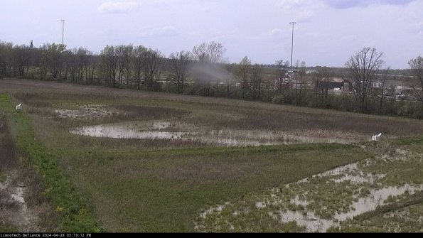 Cell 2_24-04-28_15-19-13-37