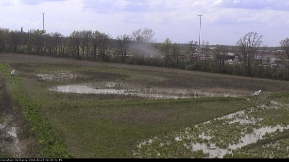 Cell 2_24-04-28_16-26-13-37