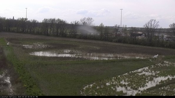 Cell 2_24-04-28_16-59-42-39