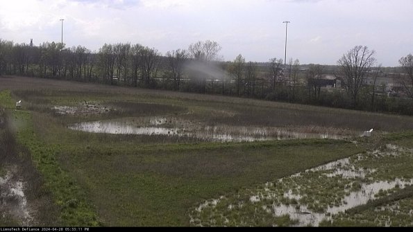 Cell 2_24-04-28_17-33-12-38