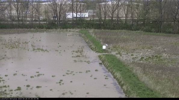 Cell 3 to 4_24-04-28_13-05-55-36