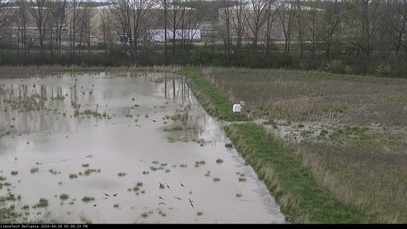 Cell 3 to 4_24-04-28_17-00-24-33