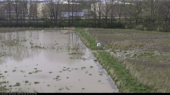 Cell 3 to 4_24-04-28_17-33-53-35