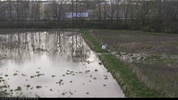 Cell 3 to 4_24-04-28_19-47-50-34