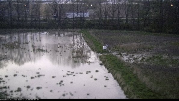 Cell 3 to 4_24-04-28_20-54-50-35