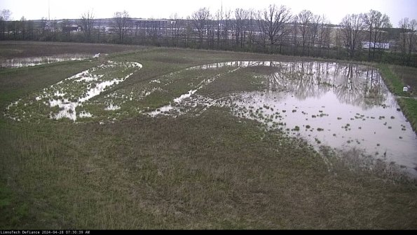 Cell 3_24-04-28_07-30-40-37