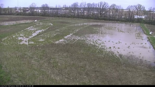 Cell 3_24-04-28_11-25-10-35