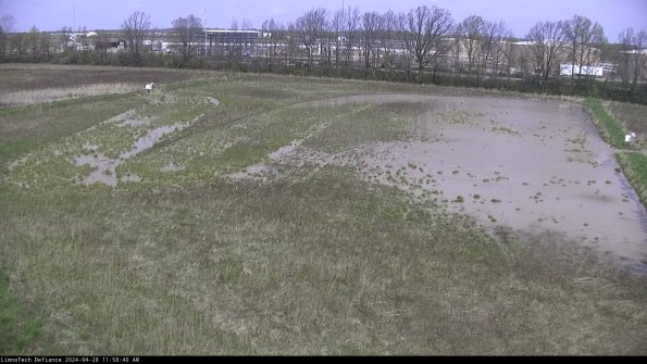 Cell 3_24-04-28_11-58-41-34