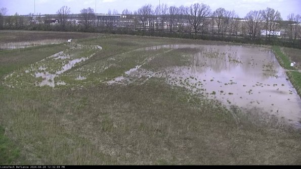 Cell 3_24-04-28_12-32-10-36