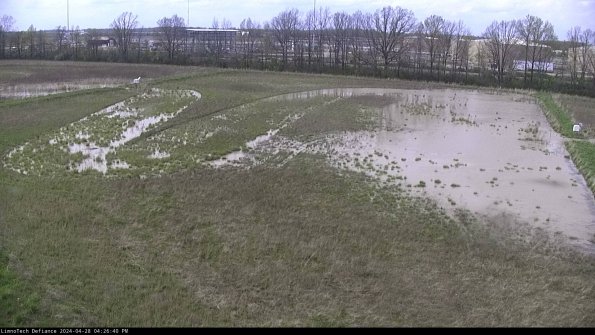 Cell 3_24-04-28_16-26-41-37