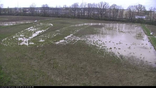 Cell 3_24-04-28_17-00-10-35