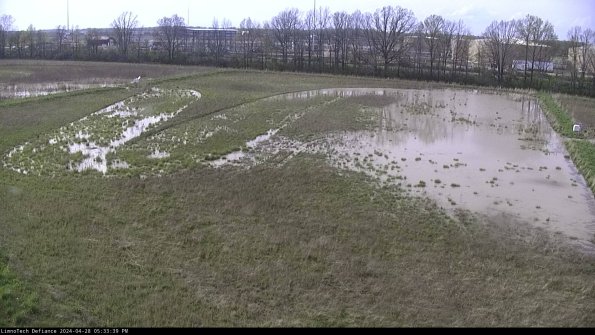 Cell 3_24-04-28_17-33-39-57