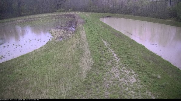 Cell 4 to Basin_24-04-28_07-31-38-36