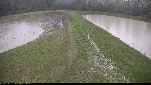 Cell 4 to Basin_24-04-28_09-12-08-33