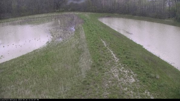 Cell 4 to Basin_24-04-28_12-33-08-35