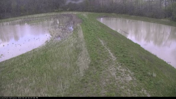 Cell 4 to Basin_24-04-28_14-47-09-37