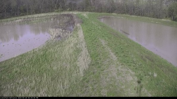 Cell 4 to Basin_24-04-28_17-34-37-36