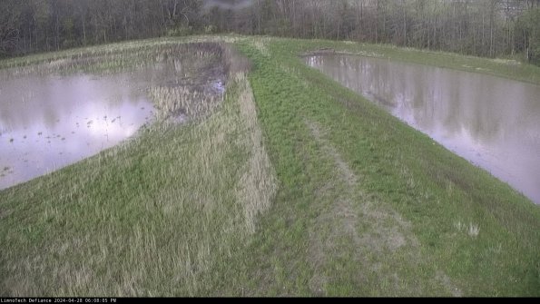 Cell 4 to Basin_24-04-28_18-08-06-35