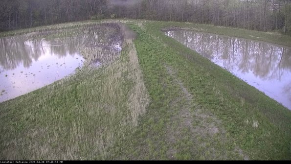 Cell 4 to Basin_24-04-28_19-48-34-35