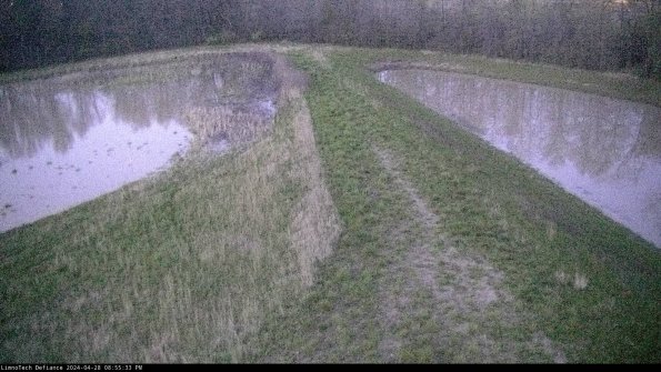 Cell 4 to Basin_24-04-28_20-55-34-39