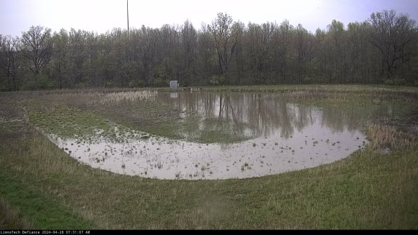 Cell 4_24-04-28_07-31-08-33