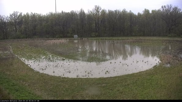 Cell 4_24-04-28_08-04-38-36