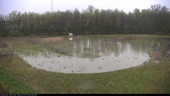 Cell 4_24-04-28_09-45-09-35