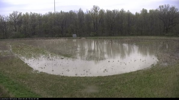 Cell 4_24-04-28_10-52-08-36