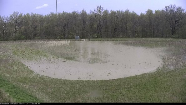 Cell 4_24-04-28_11-59-09-37