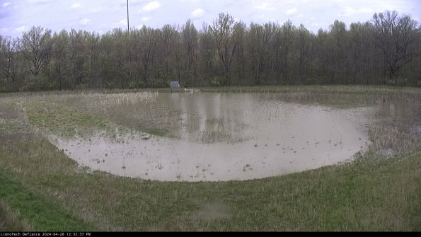 Cell 4_24-04-28_12-32-38-35