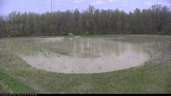 Cell 4_24-04-28_13-06-09-37