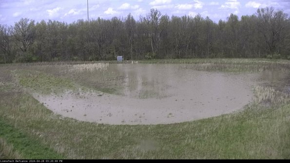 Cell 4_24-04-28_15-20-09-36