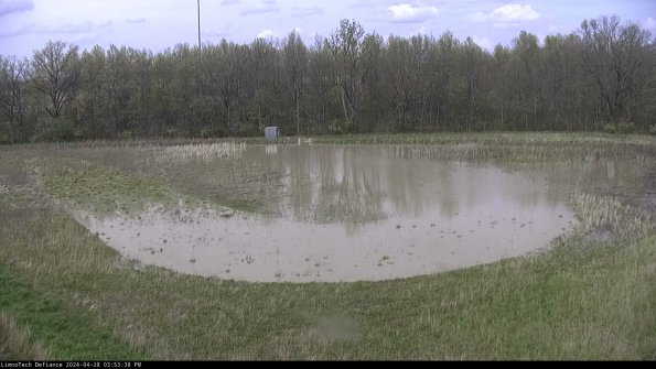 Cell 4_24-04-28_15-53-39-34