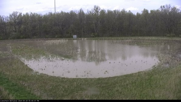 Cell 4_24-04-28_17-00-38-35